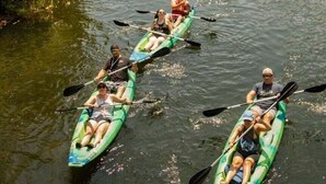 En grupp människor paddlar kajak på en flod som omges av frodig grönska.