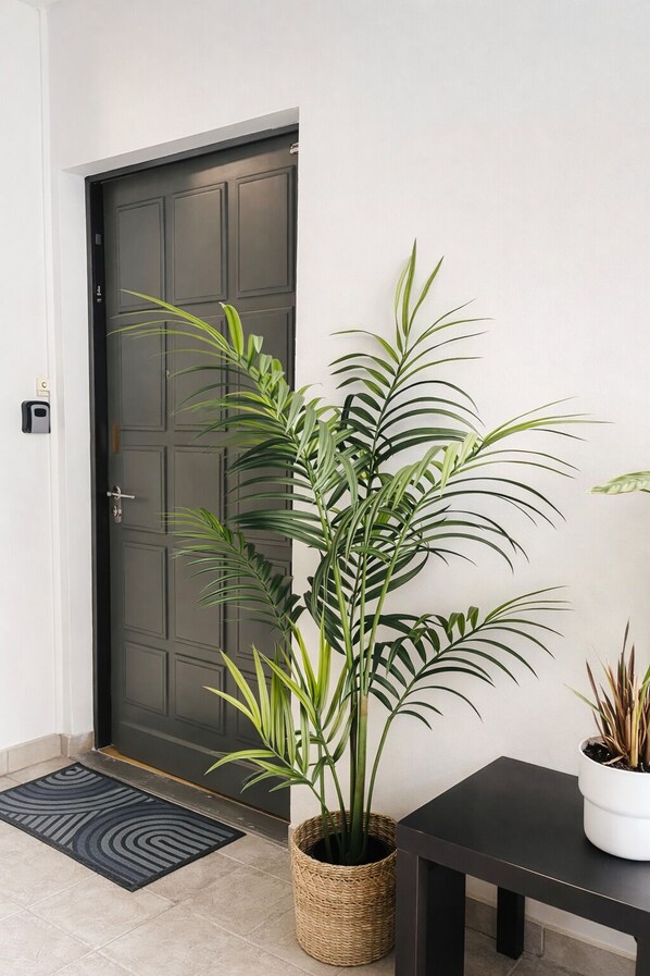A dark grey door with a textured panel design, a potted plant with long, slender leaves in a woven basket, and a small table with a white pot on top. - RARE Paris XV- ideal location 🏠 House with large courtyard (Paris)