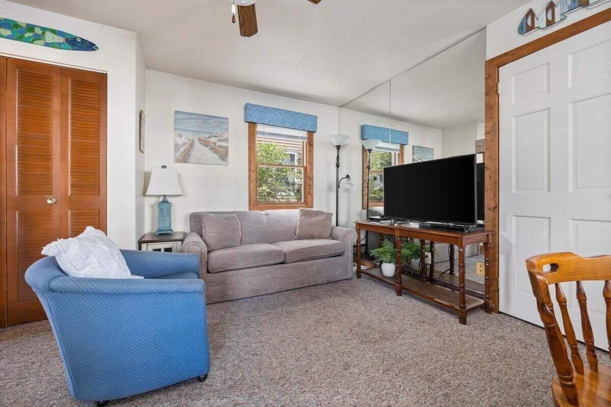 TV