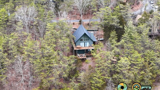 A cabin surrounded by dense forest, accessible by a narrow road. - Par & Pine Lodge | Double decks w/ fire pit! (Basye)