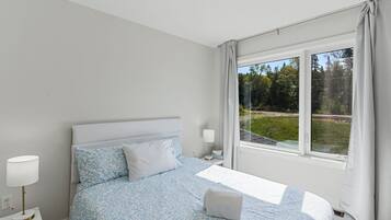 Ferros/tábuas de passar roupa, Wi-Fi, roupa de cama