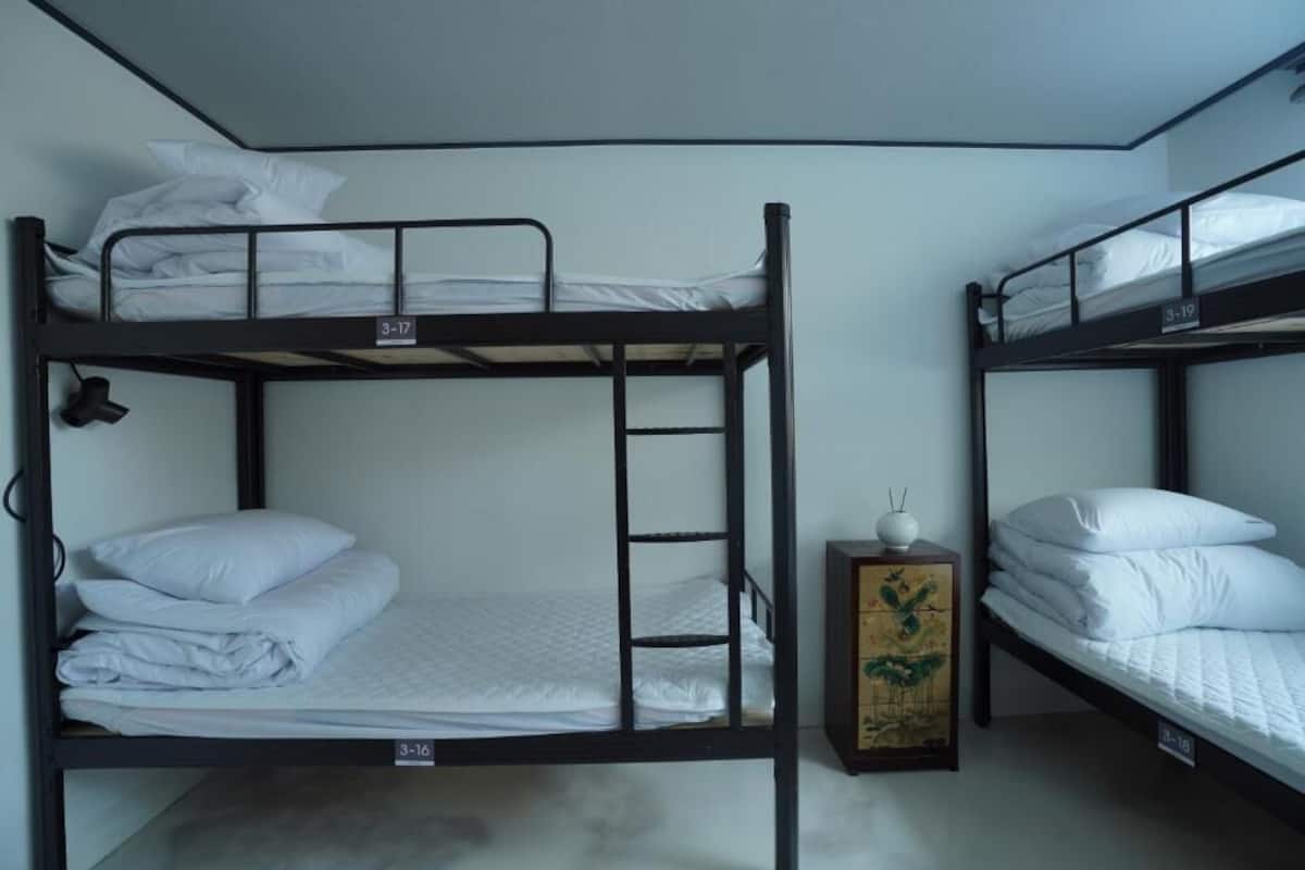 Premium bedding, WiFi (free), bed sheets