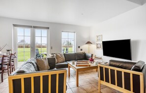 Smart-TV, Kamin
