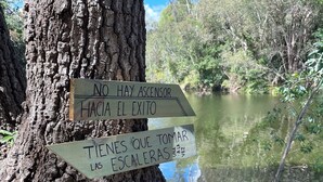 A signpost with two directional signs against a tree trunk, pointing towards a body of water. - Fika Cabin - Boscata (petfriendly) (El Oasis Valsequillo)
