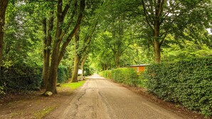Eine schmale, von Bäumen gesäumte Straße mit einem kleinen Gebäude auf der rechten Seite.