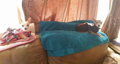 The Huntsville Nest / 2BR Near SHSU/Pool/WiFi/Free Parking