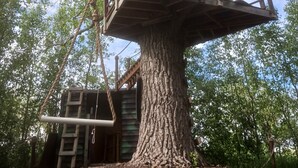 Una casa en árbol construida sobre un árbol grande con una plataforma de madera y una escalera.