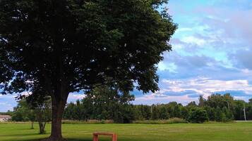 A park with a large tree, a bench, and a grassy field.