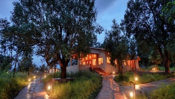 A modern house with a stone pathway leading to it, surrounded by trees.
