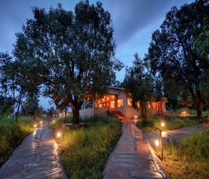 Una casa moderna con un camino de piedra que conduce a ella, rodeada de árboles.