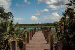 Une promenade en bois mène à une étendue d’eau turquoise, entourée d’une végétation luxuriante.