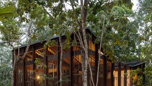 A multi-level wooden building surrounded by dense foliage. - Boca De Agua Bacalar (Felipe Carrillo Puerto)