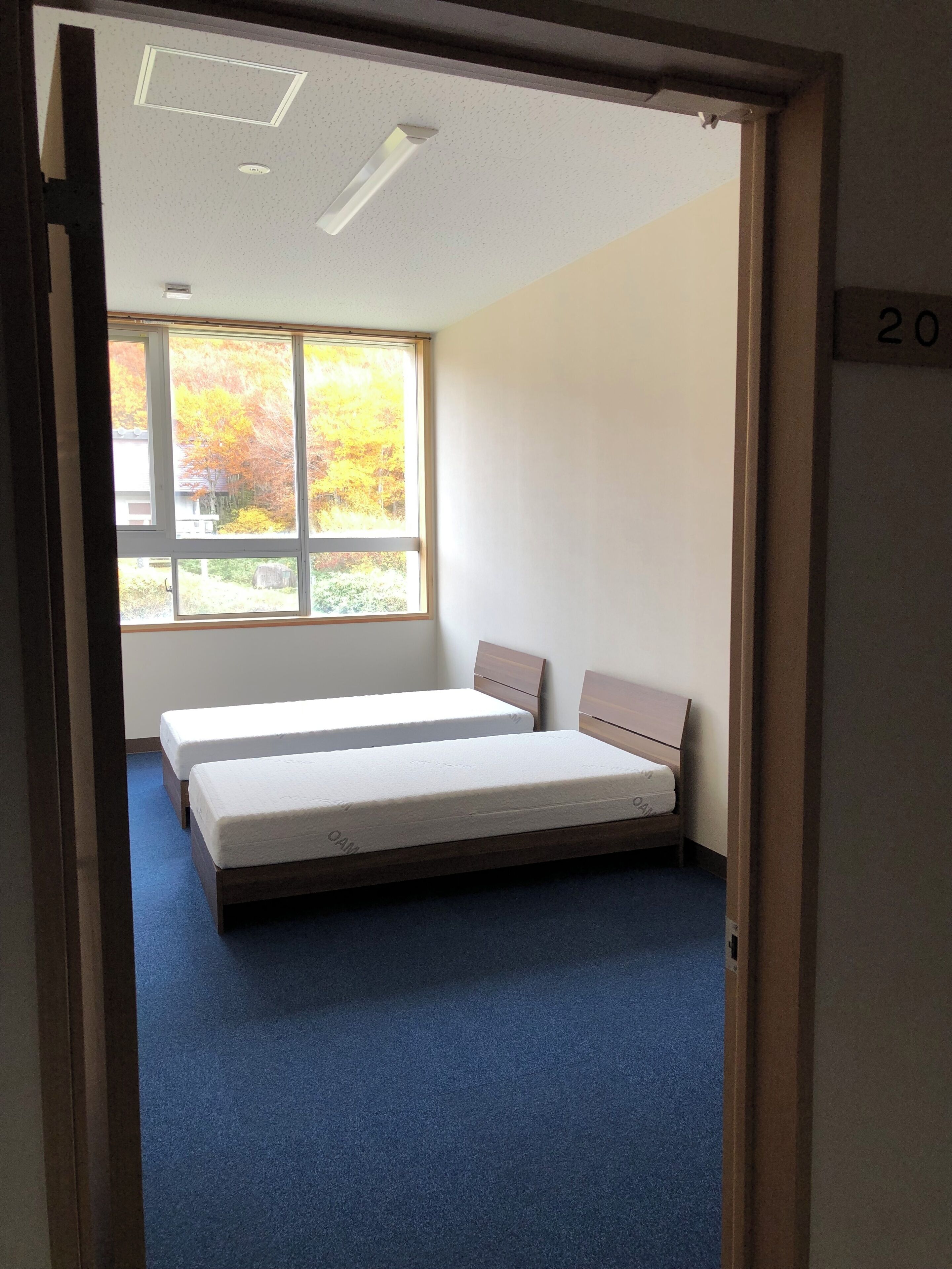 A room with two single beds, a large window with autumn foliage view, and a blue carpet.