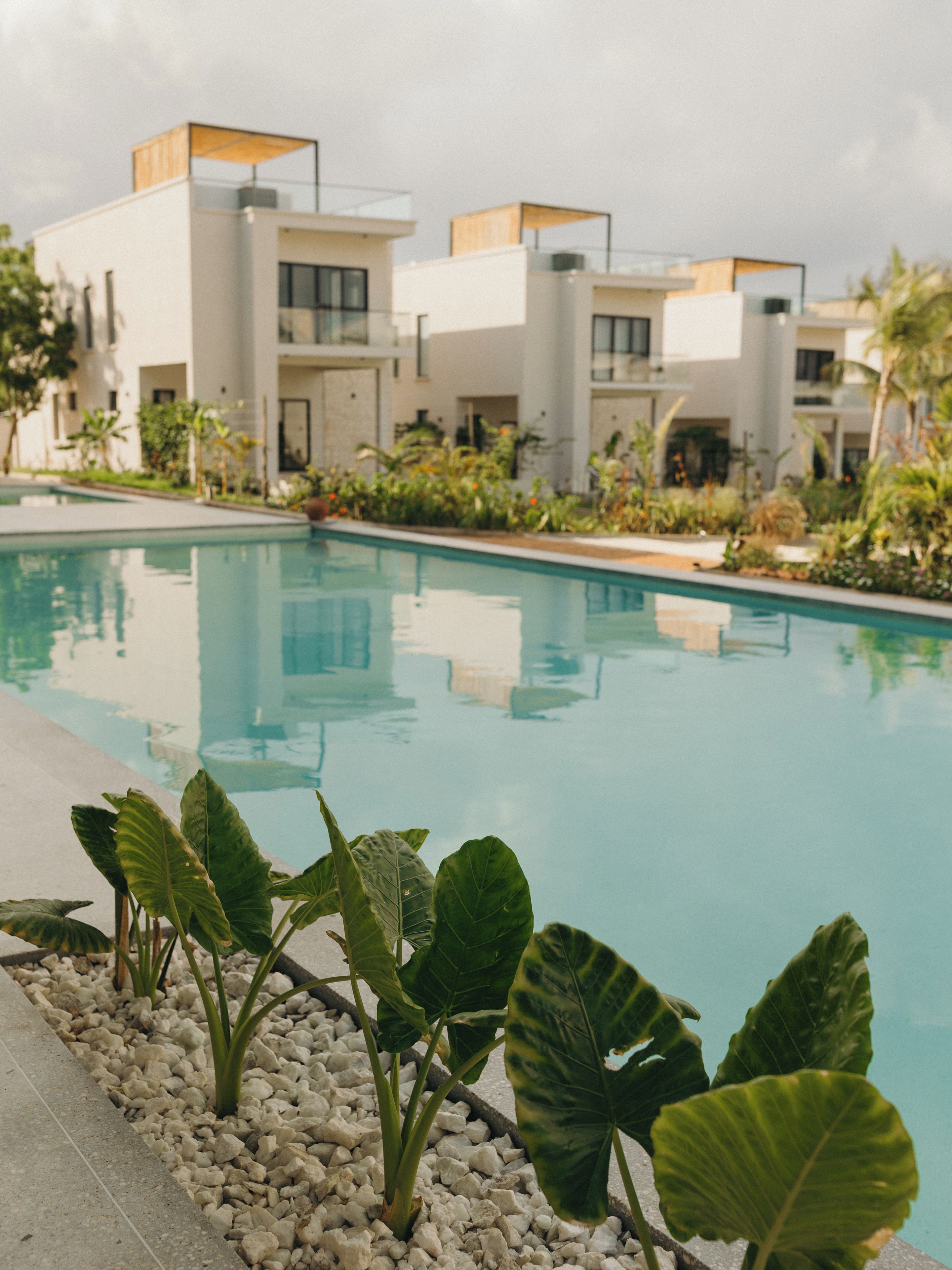 A modern hotel with a swimming pool, surrounded by tropical plants and a clear sky.