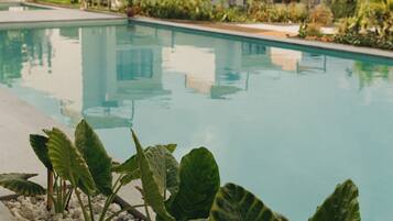 A modern hotel with a swimming pool, surrounded by tropical plants and a clear sky.