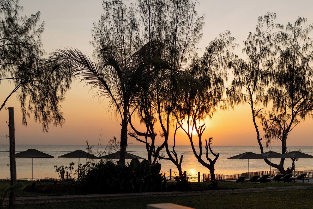 Une piscine qui reflète les arbres et un coucher de soleil sur l’eau.
