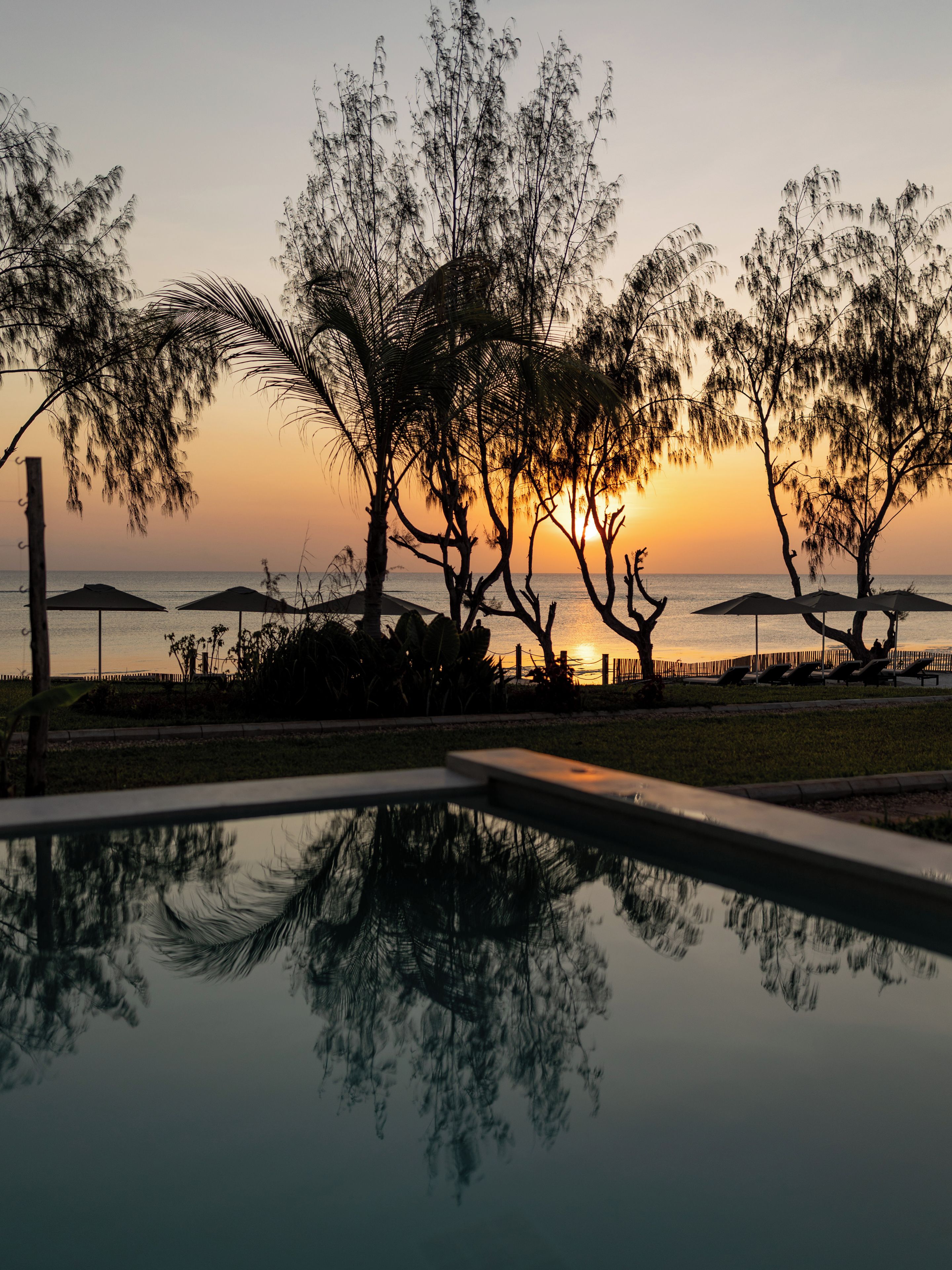Una piscina che riflette alberi e un tramonto sull'acqua.