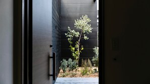 Ein schmaler Korridor mit einer Pflanze in der Mitte, der zu einem Gebäude mit dunkler Fassade führt.