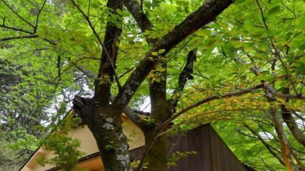 A rustic cabin with a wooden exterior, a porch with seating, and a well-lit entrance. - Villa Hamorebi (Hatsukaichi)