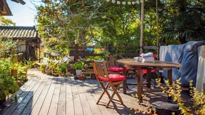 Una terraza de madera con una mesa y sillas, rodeada de macetas con plantas y una cerca de bambú.