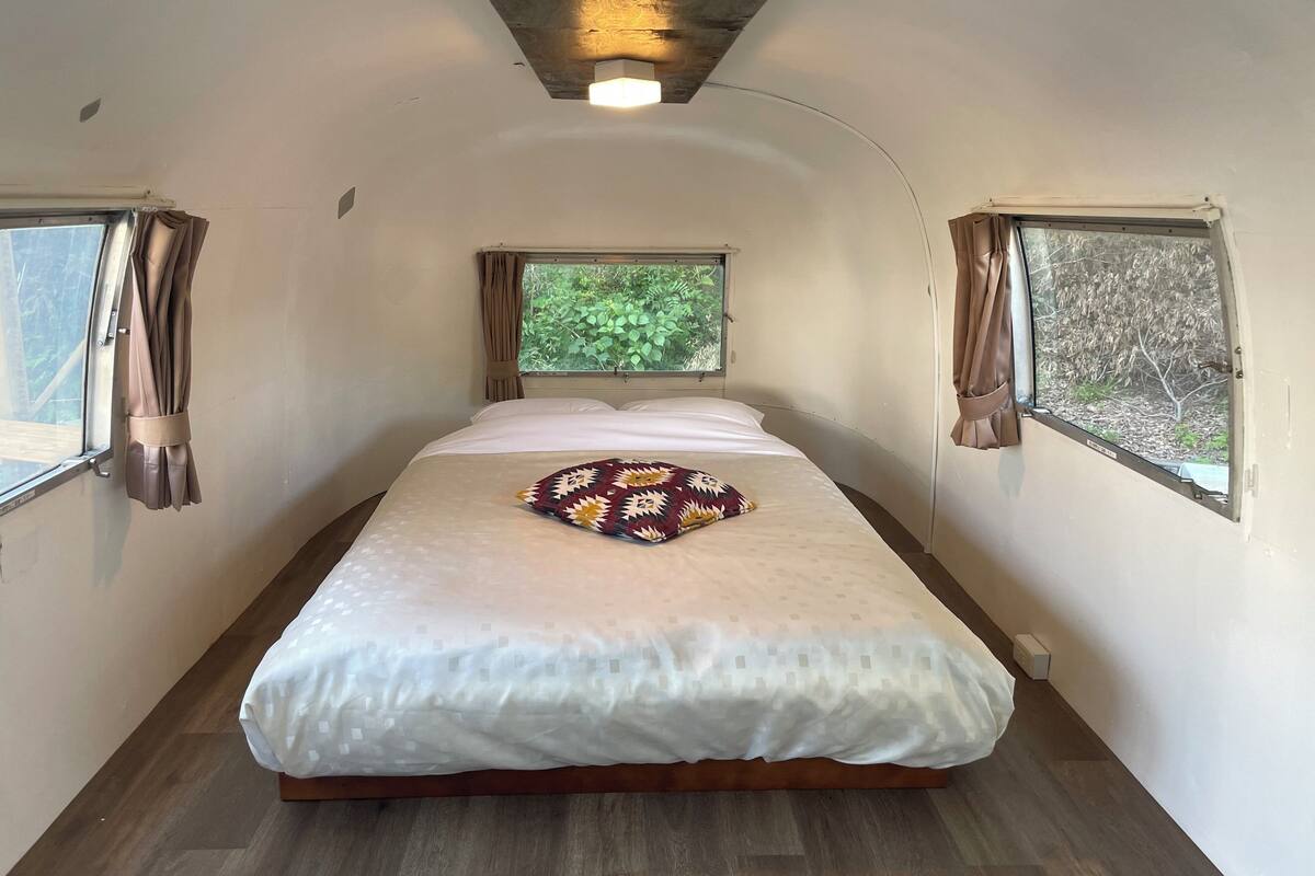 A narrow room with a bed, two windows, and a ceiling light.
