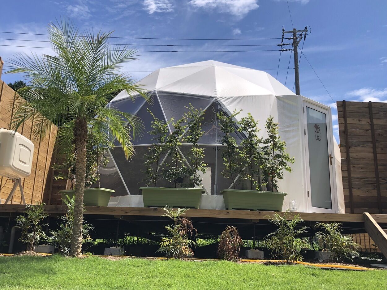 Una gran estructura tipo tienda blanca con techo transparente, rodeada de plantas en macetas y una valla de madera.