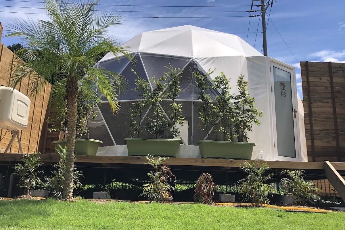 Una gran estructura tipo tienda blanca con techo transparente, rodeada de plantas en macetas y una valla de madera.