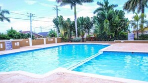 Una piscina con borde de baldosas, rodeada de palmeras y cielo despejado.