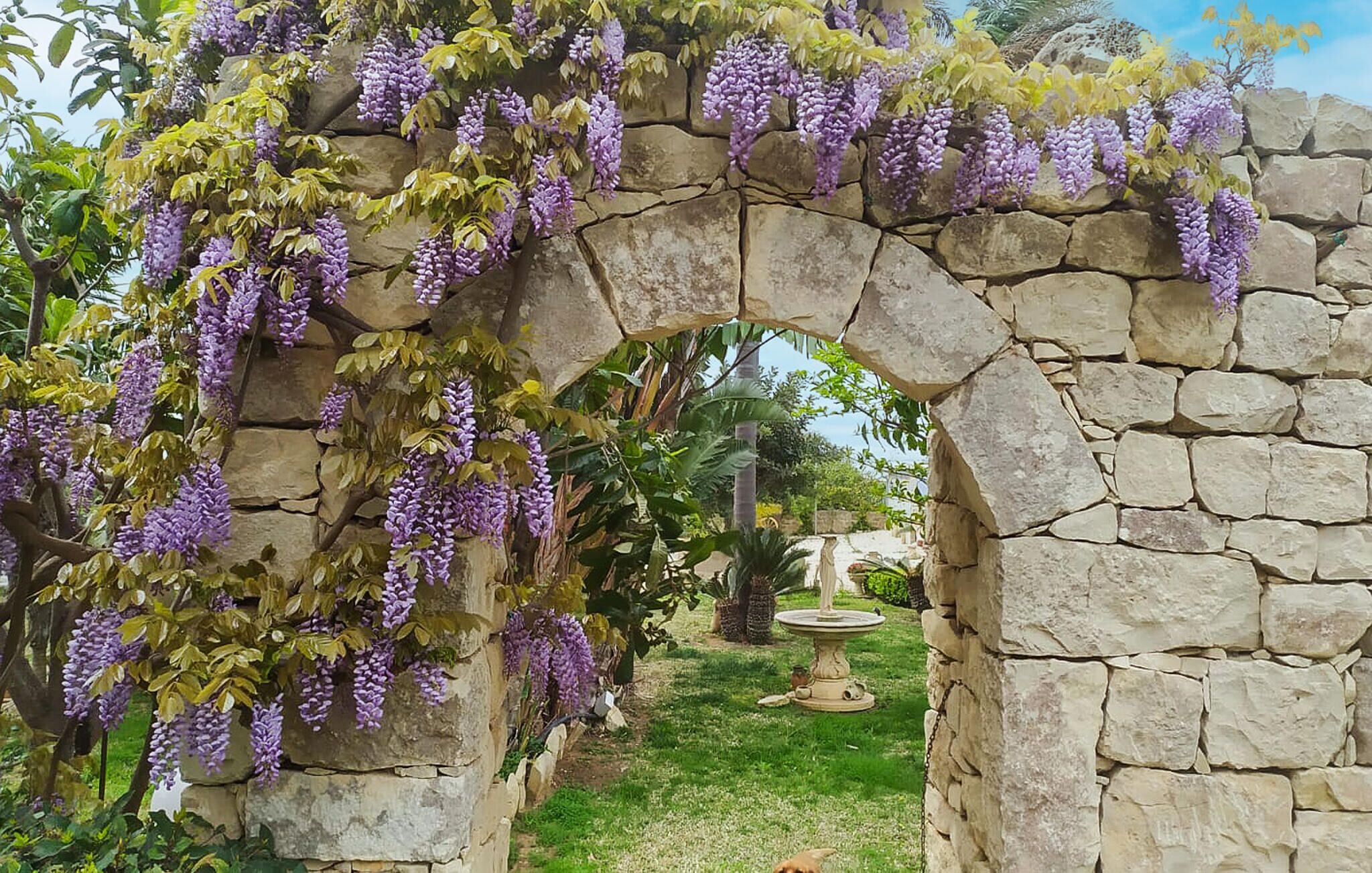 Terrein van de accommodatie