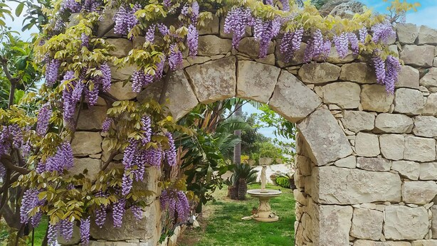 Un arco de piedra con flores moradas colgantes, un jardín con una fuente y un cielo despejado.