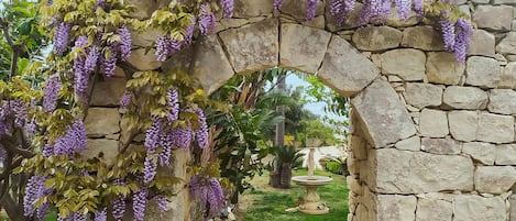 المنطقة المحيطة بالمنشأة