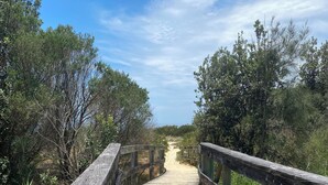 Ein hölzerner Steg führt durch eine natürliche Umgebung mit dichter Vegetation an beiden Seiten.