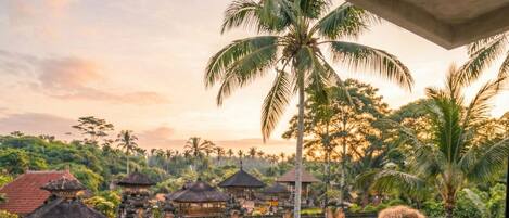 Appartement Deluxe, balcon | Terrasse/patio