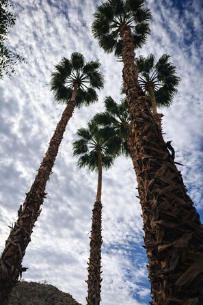 Unclassified image, 5 of 22, button