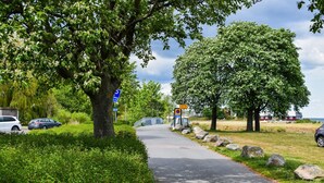 Ein gepflasterter Weg, gesäumt von üppiger Vegetation und Bäumen, mit einem blauen Schild, das einen Parkplatz kennzeichnet.