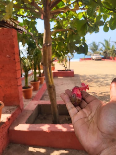 Private Beach attached Cozy Delux Cottages.