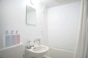 Sèche-cheveux, serviettes fournies, savon, papier toilette