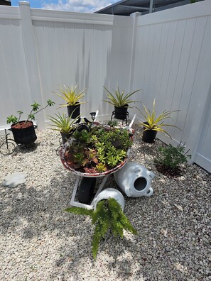 Botón de imagen sin clasificar, 2 de 6