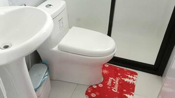 Dusche, Haartrockner, Bidet, Handtücher