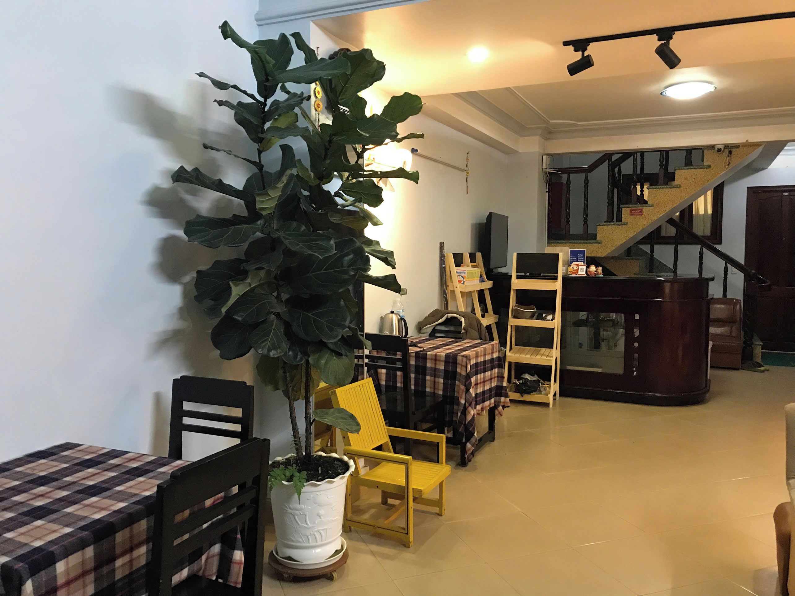 A dining area with a large potted plant, a yellow chair, and a table with a checkered tablecloth.