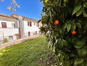 Property grounds - Three-room apartment Antonella with sea view, a/c and p. auto (Numana)
