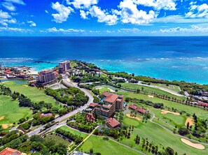 Unclassified image, 5 of 12, button - ALLAMANDA Splendid (Miyakojima)