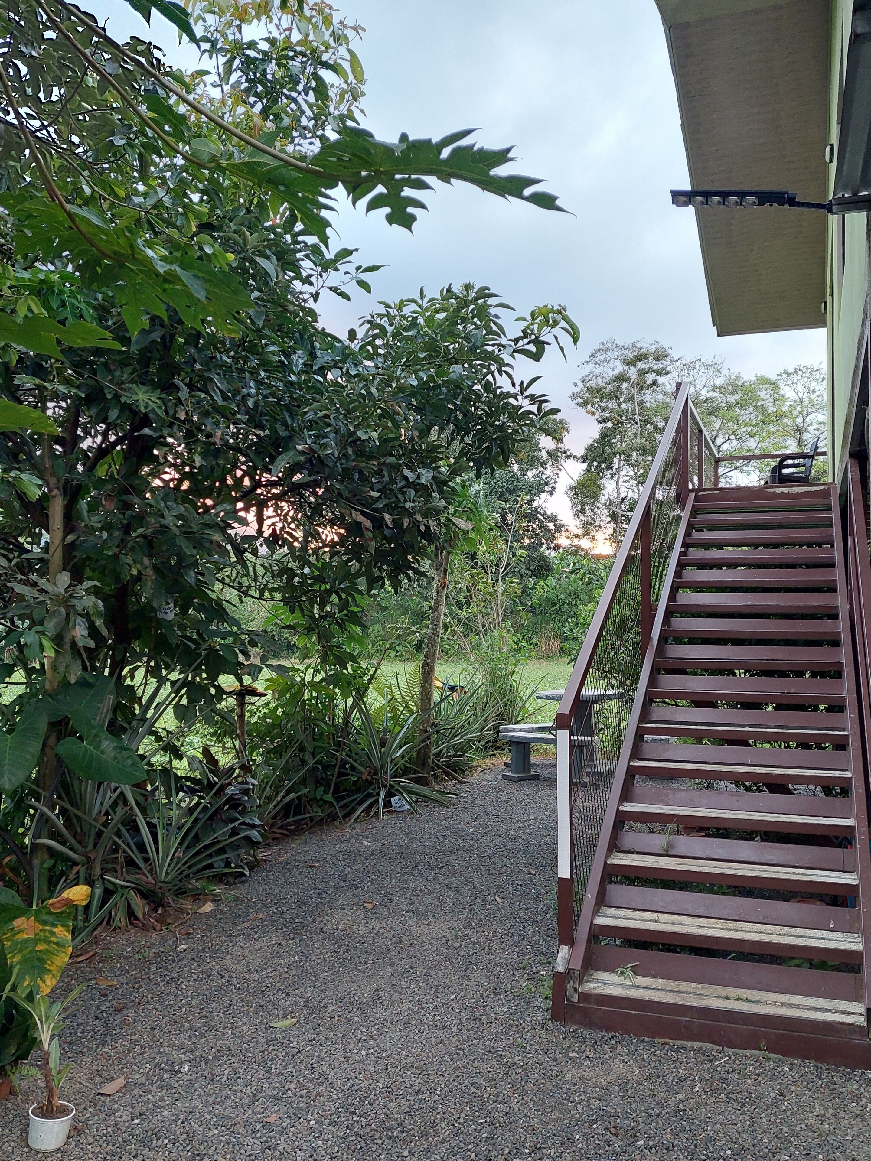 A gravel pathway leading to a wooden staircase with a metal railing, surrounded by lush greenery and trees.