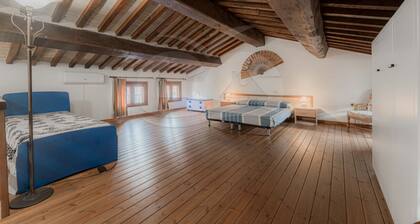 Il Relitto a Pomonte - Goelba