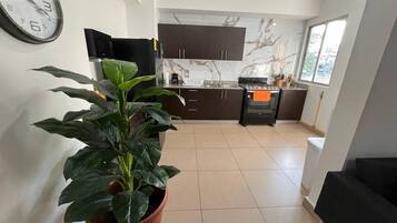 Apartment, 2 Bedrooms, City View | Private kitchen