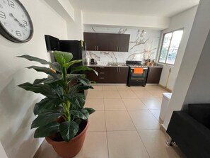 Apartment, 2 Bedrooms, City View | Private kitchen - Apartment in San Francisco (Panama City)