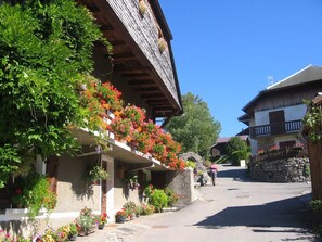 Exterior - Apartment Balcon du Léman (Thollon-les-Mémises)