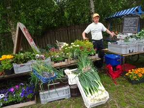 Overnattingsstedets uteområder
