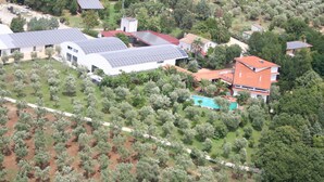 An aerial view of a residential area with multiple houses, some with solar panels, surrounded by olive trees and greenery. - Charming Villa in Maida With Pool & Garden (San Pietro a Maida)