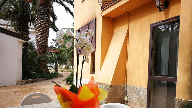 A table with a decorative centerpiece, a building with a yellow facade, and a palm tree in the background. - Charming Villa in Maida With Pool & Garden (San Pietro a Maida)